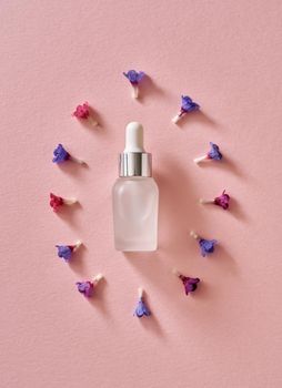 A bottle of essential oil on pastel pink paper background with fresh lungwort or Pulmonaria flowers, top view
