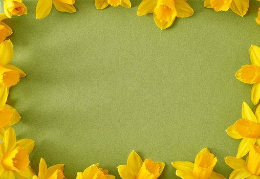 Spring concept - yellow daffodil flowers around a green paper background, with copy space