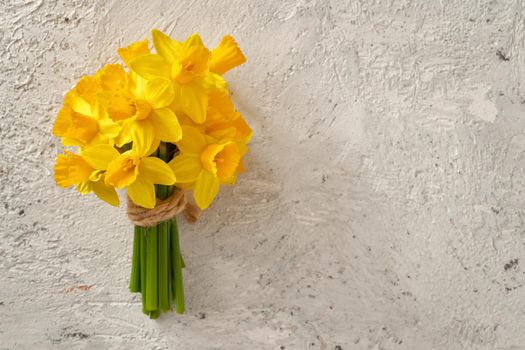 Spring concept - yellow daffodil flowers on white concrete background with copy space