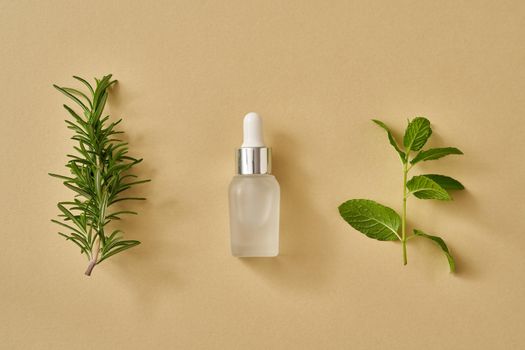A bottle of essential oil with fresh peppermint and rosemary leaves on pastel yellow background