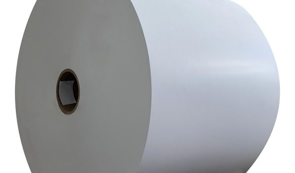 Large coil of printing paper