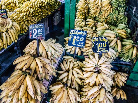 Sale of bananas in the market with signs that say the type of banana that is sold: island bananas