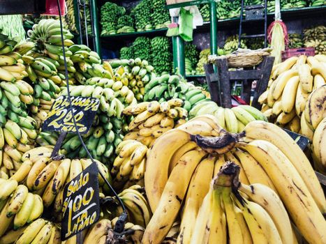 Sale of bananas in the market with signs that say the type of banana that is sold: island bananas