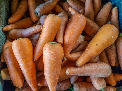 Bunches of colorful fresh orange carrots from the market
