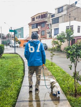 Man and small dog walking on the sidewalk of a park