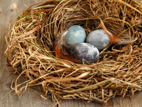 Painted chicken eggs and chicken feathers in nest of dry grass.