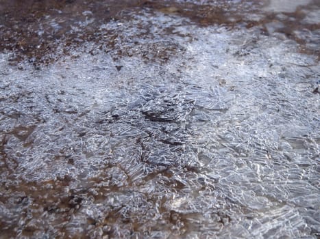 Frozen water in puddle in early spring morning.