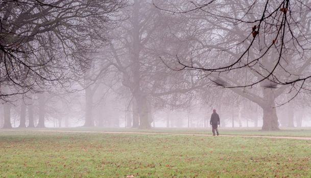 Wide-shot of a man walking in a park on a foggy day