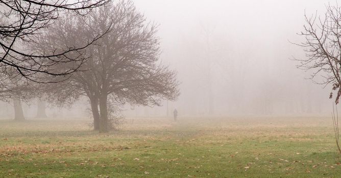 Wide-shot of a man walking in a park on a foggy day