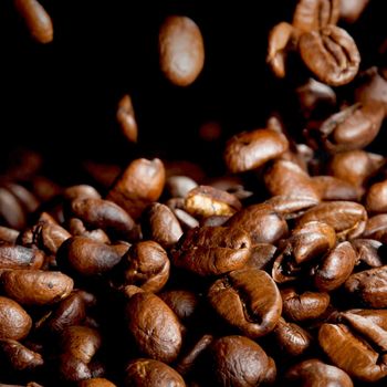 Roasted coffee beans falling down black background