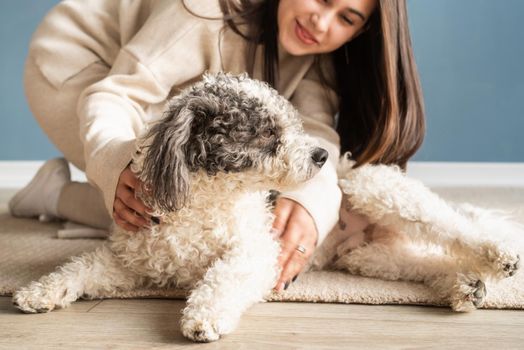 Beautiful brunette woman with playful mixed breed dog, embracing and having fun at home