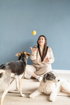 Beautiful brunette woman with playful mixed breed dog, embracing and having fun at home