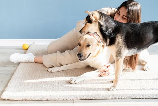 Beautiful brunette woman with playful mixed breed dog, embracing and having fun at home