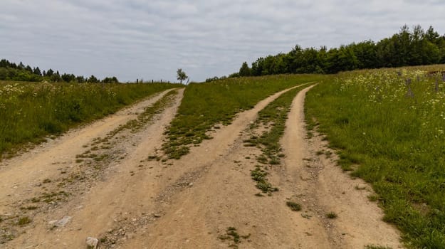 Long path with bushes and fields around in Kaczawskie mountains