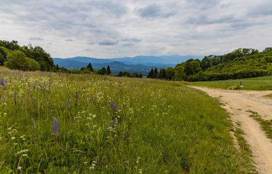 Long path with bushes and fields around in Kaczawskie mountains