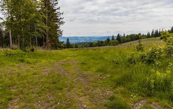 Long path with bushes and fields around in Kaczawskie mountains