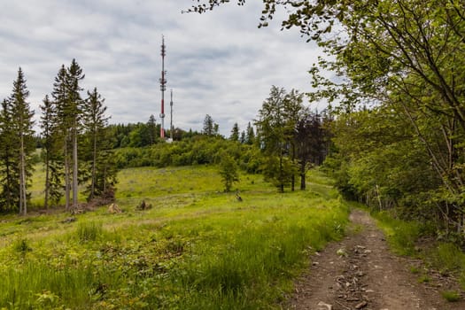 Long path with bushes and fields around in Kaczawskie mountains