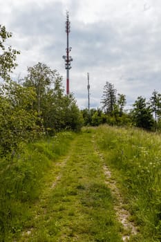 Long path with bushes and fields around in Kaczawskie mountains