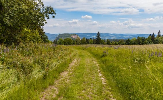 Long path with bushes and fields around in Kaczawskie mountains