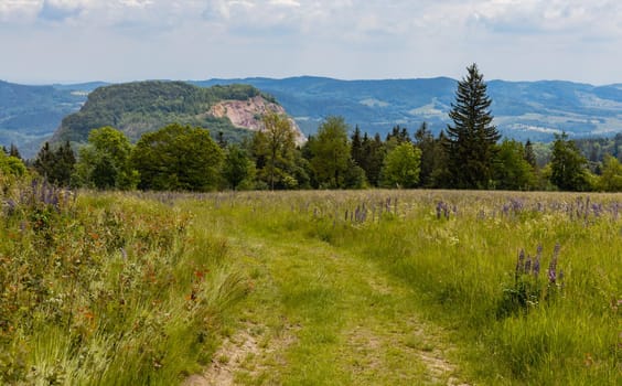Long path with bushes and fields around in Kaczawskie mountains