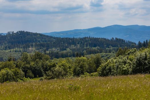 Beautiful panorama of Kaczawskie mountains with big fields and trees around