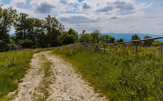 Long path with bushes and fields around in Kaczawskie mountains