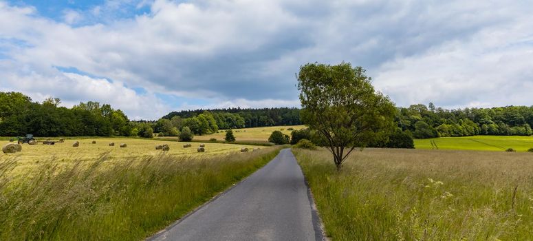 Long path with bushes and fields around in Kaczawskie mountains