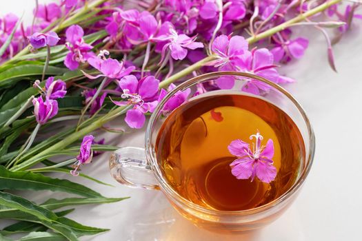 Fireweed herb known as blooming sally and tea in a cup.