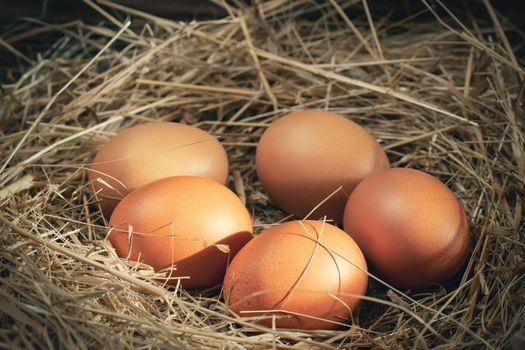 Several raw fresh chicken eggs in a nest of hay on a wooden background.