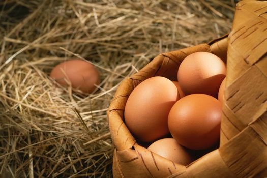Fresh brown chicken eggs in a basket and in a nest from hay in a barn.