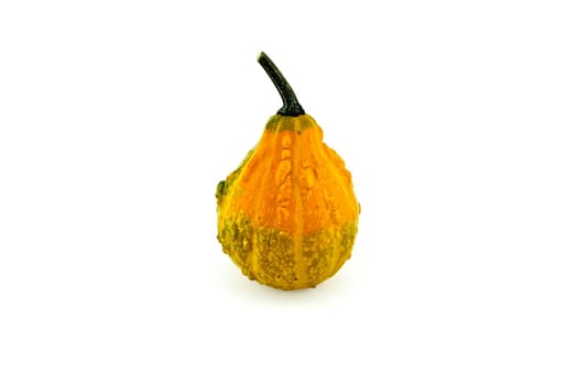 One whole yellow decorative gourd isolated on white background