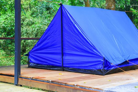 close up tent blue accommodation camping relax in forest