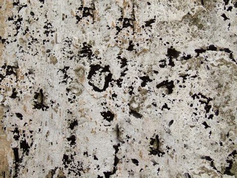 A solid wall of rough gray cement with irregular depressions of black color.Texture or background