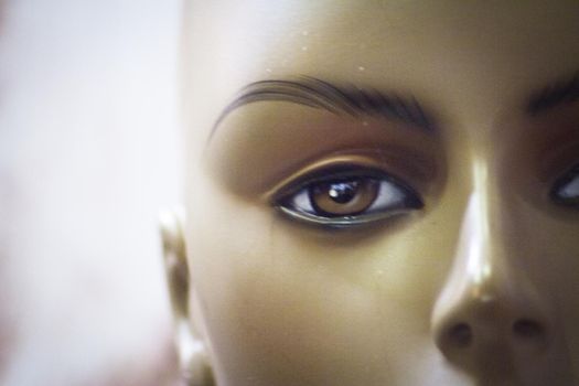 Female eye portrait of a mannequin. No people