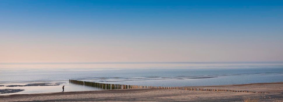 lonely figure strolls along beach of north sea in dutch province of Zeeland under blue sky in spring during sunset