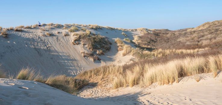 father and son climb dunes under blue sky on sunny day in spring