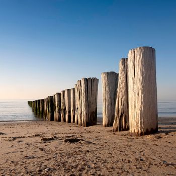 typical row of poles on beach of zeeland in the netherlands under blue sky and late afternoon sun in spring
