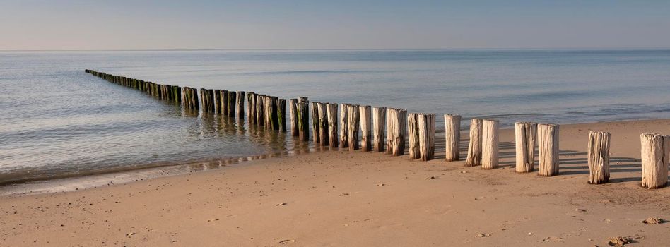 typical row of poles on beach of zeeland in the netherlands under blue sky and late afternoon sun in spring