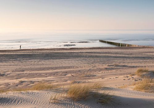 lonely figure strolls along beach of north sea in dutch province of Zeeland under blue sky in spring during sunset