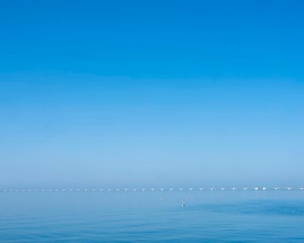 zeelandbrug under blue sky in water landscape of zeeland in the netherlands