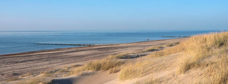 dunes and almost deserted beach on dutch coast near renesse in zeeland under blue sky in spring