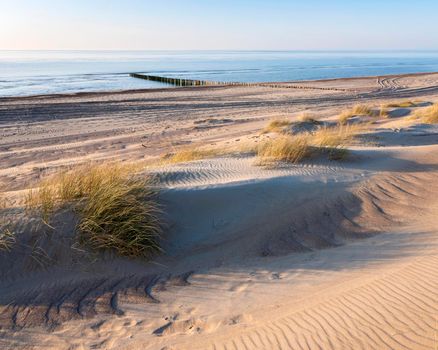 sand dunes and deserted beach on the dutch coast of north sea in province of zeeland under blue sky in spring