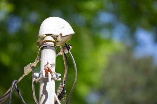 Black-capped chickadee (Poecile atricapillus) looking around from its perch on an electrical wire