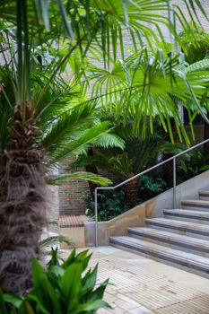 Plants and small palm trees at the bottom of stairs and at the entrance of building. Building entrance surrounded by nature. Houseplants in the city