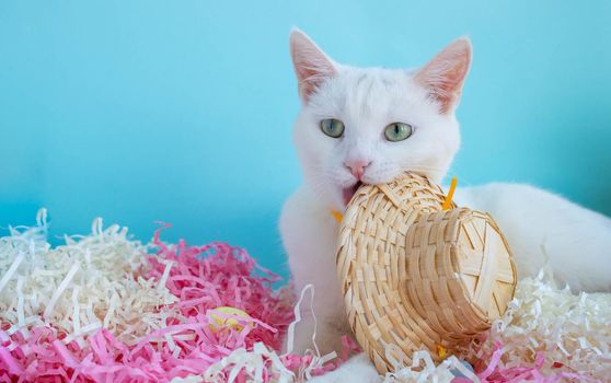 A cute white cat lies on the tinsel next to eggs and a straw hat. Easter Concept.