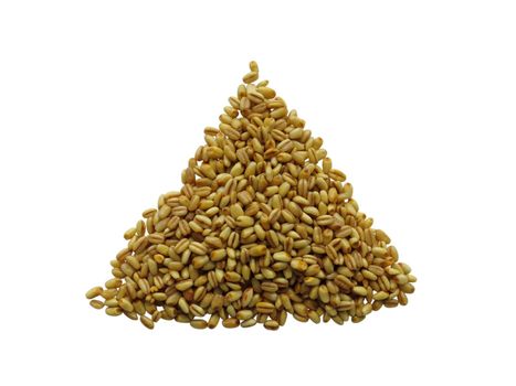 Heap of raw wheat Isolated on White Background