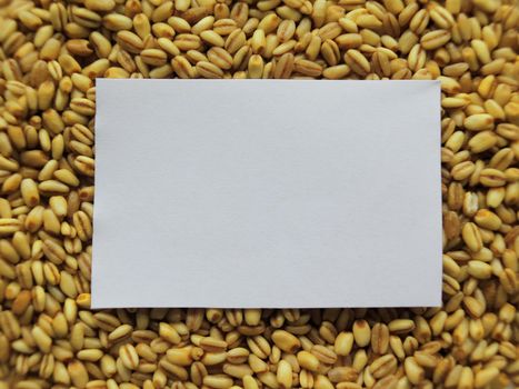 White tag on Heap of raw wheat background