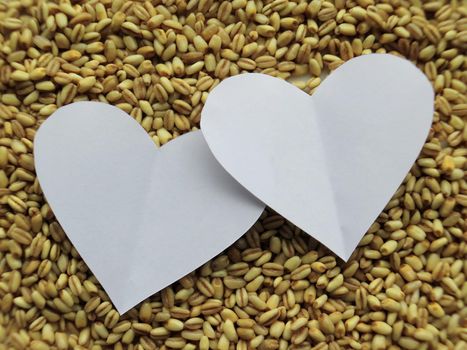 White Heart shape on Heap of raw wheat background