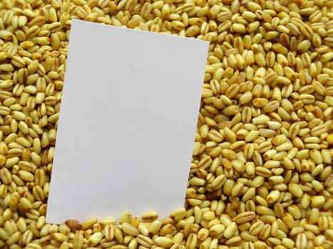 White tag on Heap of raw wheat background