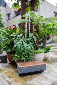 Plants and small palm trees down the stairs and with gray building as background. Building with modern architecture surrounded by nature. Houseplants in the city